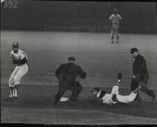 1964 Press Photo Braves Felipe Alou Belly Flops, Philly Tony Taylor Watches picture