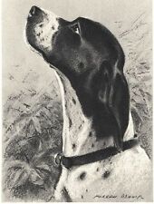 Pointer - CUSTOM MATTED - Dog Art Print - M. Dennis 