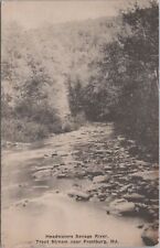 Headwaters Savage River Trout Stream near Frostburg Maryland Albertype Postcard picture