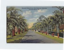 Postcard Beautiful Palm Drive Ormond Beach Florida USA picture