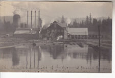 RPPC Stirling City CA Butte CO Diamond Match CO near Chico Paradise 1906 Photo picture