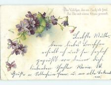 1902 foreign BEAUTIFUL VIOLET FLOWERS : make an offer HL7233 picture