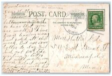 1912 Best Wishes Purple Flowers Ghost Town DPO Winsch Back Constance MN Postcard picture
