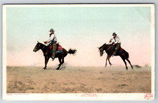 c1910s Two of a Kind Cowboys Bucking Broncos Antique Postcard picture