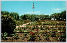 Postcard Rose Gardens Lakeview Park Lorain, OH H3 picture