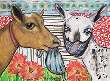 Nigerian Dwarf Quarantine 13x19 Art Print Goat Collectible Signed Artist KSams picture