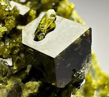 168 Gr. Full Terminated Lustrous Andradite Garnet Crystals, Vesuvianite On Matrx picture