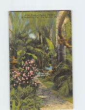 Postcard Tropical Sunken Gardens The Sunshine City St. Petersburg Florida USA picture