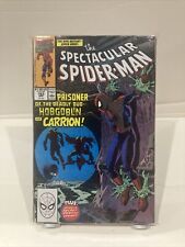the spectacular spider-man 163 picture