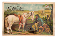 c.1880 Arnheim's IXL I-X-L Liniment Trade Card Quack Medicine Panacea Horse Dog picture