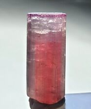 Tri colour terminated watermelon tourmaline crystal - 29 carats picture