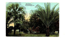 St Petersburg FL Florida Postcard Manhatten Hotel Grounds Early 1900s picture