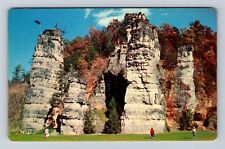 Mount Solon VA-Virginia, Natural Chimneys, Antique, Vintage Souvenir Postcard picture