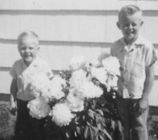 4J Photograph Brothers Garden Flowers Boys 1957 Family Portrait  picture