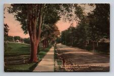 Norfolk CT-Connecticut, Greenwoods Road, Antique Vintage Souvenir Postcard picture