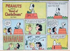 Peanuts by Charles Schulz - large half-page color Sunday comic - August 25, 1974 picture