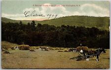 1909 A Sullivan County Farm Scene Lake Huntington New York NY Posted Postcard picture
