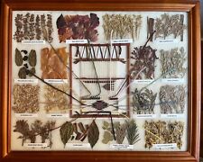Nice Vintage Navajo Textile Dye Chart by Judith Myers, 16 Colors  picture