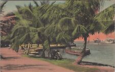 MR ALE~A Typical Bay View In Florida Vintage Hand-Colored Postcard c1910s B2742 picture
