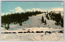 c1960s Skirs Summit of Berthoud Pass Colorado Vintage Linen Postcard picture