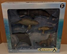 89276 Sea Life Window Boxed Set, CollectA - Life Like & Hand Painted - Age 3+ picture
