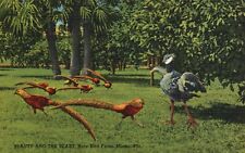 Postcard FL Miami Rare Bird Farm Beauty & the Beast Linen Vintage PC H9267 picture