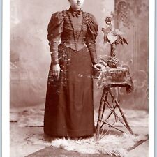 c1880s Roseland, Chicago, IL Young Lady Woman Cabinet Card Photo Koopman B18 picture