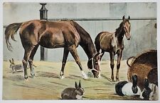 Artist Signed 1901 Beautiful Horse and Foal with Rabbits c1907 Postcard Z5 picture