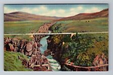 Gunnison CO-Colorado Lake Fork Sapinero Bridge US Highway 50 Vintage Postcard picture