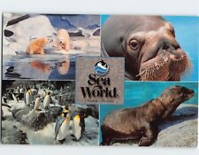 Postcard Sea World Orlando Florida USA picture