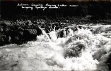Salmon ~ Rainey (Rainie) Falls near Singing Springs Ranch Oregon~RPPC real photo picture