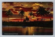 FL-Florida Colorful Evening Shadows Vintage c1951 Souvenir Postcard picture