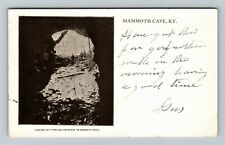 Mammoth Cave KY-Kentucky, Looking Out Through Entrance Vintage Souvenir Postcard picture