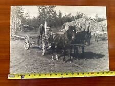 Vintage Andrew Hill Photograph : California Logging Scene 1895 picture
