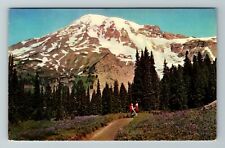 WA-Washington, Mt Rainer And Paradise Valley, Scenic, Vintage Postcard picture