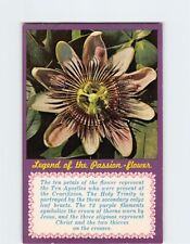 Postcard Legend of the Passion-flower, Florida picture