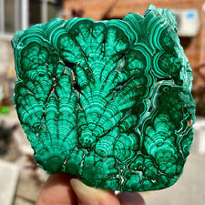 216G Natural High Quality Malachite Flakes luster Gem Crystal Mineral Specimen picture