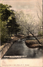 Postcard~Walton New York~East Brook at Benton Avenue~c1906~Unposted picture