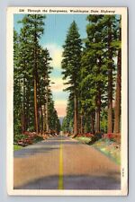 WA-Washington Through the Evergreens Washington State Hwy Vintage c1939 Postcard picture