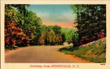 Scenic, Greetings from Stoneville NC Vintage Postcard L67 picture