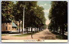 Marengo Illinois~North State Street~Trees Line Sidewalk~Residential Area~1910 PC picture
