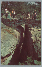 Gnome's Overpass Rock City Lookout Mountain Chattanooga TN Vintage Postcard picture