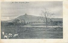 HOLYOKE MA - Mt. Tom showing Cows - udb (pre 1908) picture