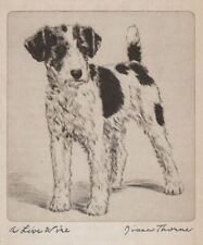 Wire Fox Terrier - CUSTOM MATTED - Vintage Dog Art Print - 1936 Diana Thorne picture