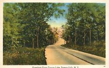 Vintage Postcard 1941 Greetings From Cayuga Lake Seneca Falls New York Roadways picture