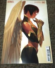 HAWKGIRL 1 OTTO SCHMIDT VARIANT - DC 2023 - NEAR MINT+ picture