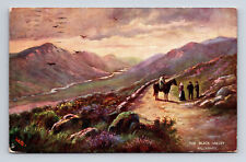 1907 Black Valley Killarney Ireland UK Raphael Tuck's Oilette Killarney Postcard picture