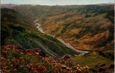 Postcard Hells Canyon on the Snake River - Separating Idaho & Oregon picture