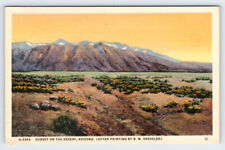 Sunset on the Desert Arizona Vintage Postcard APS19 picture