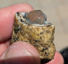 Virgin Valley Opal Display Specimen - Precious core in opal skin (60cts) picture